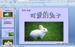 �׶�԰С���ѧ��֪���ɰ������� (ppt�μ�)